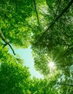 Going-Green-Climate-Action-Framework-v-3_Page_01_Image_0001.jpg
